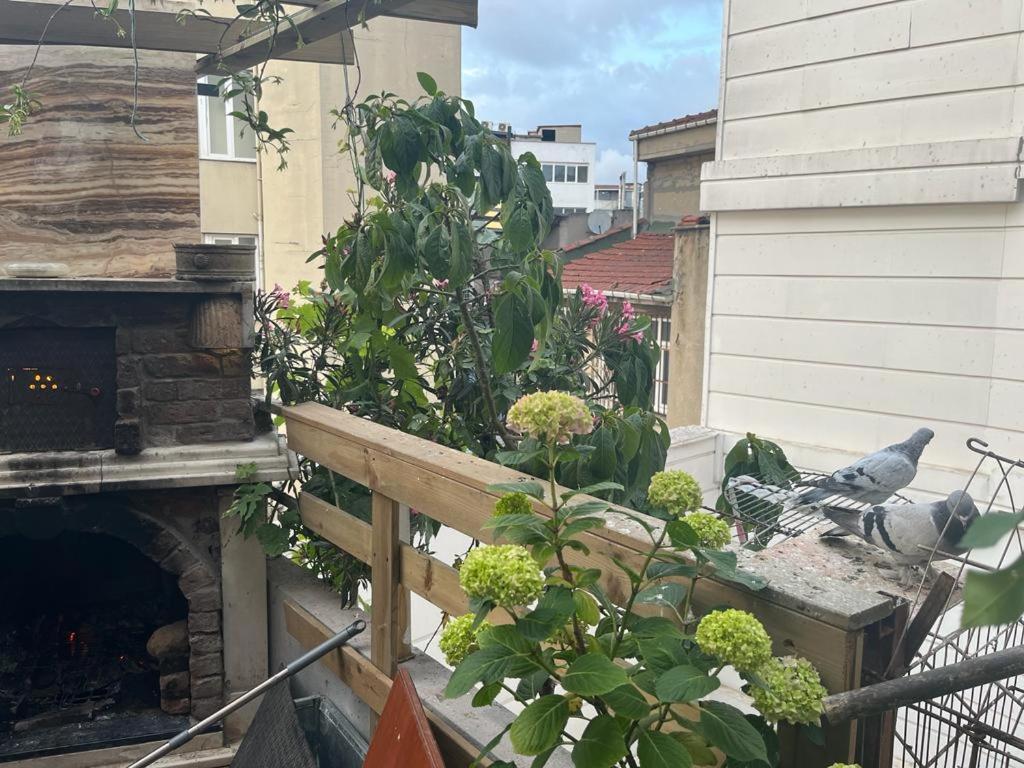 Central Apartment Kadikoy Terrace Bbq Close 2 Block Ferry Bull Metro Nighlife Isztambul Kültér fotó