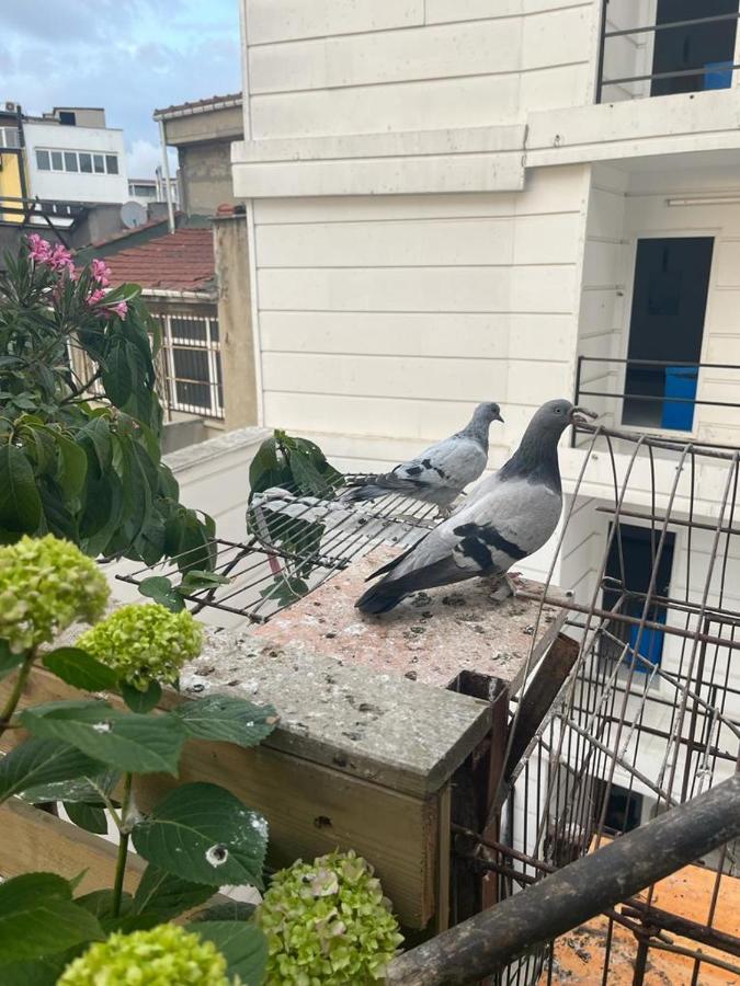 Central Apartment Kadikoy Terrace Bbq Close 2 Block Ferry Bull Metro Nighlife Isztambul Kültér fotó