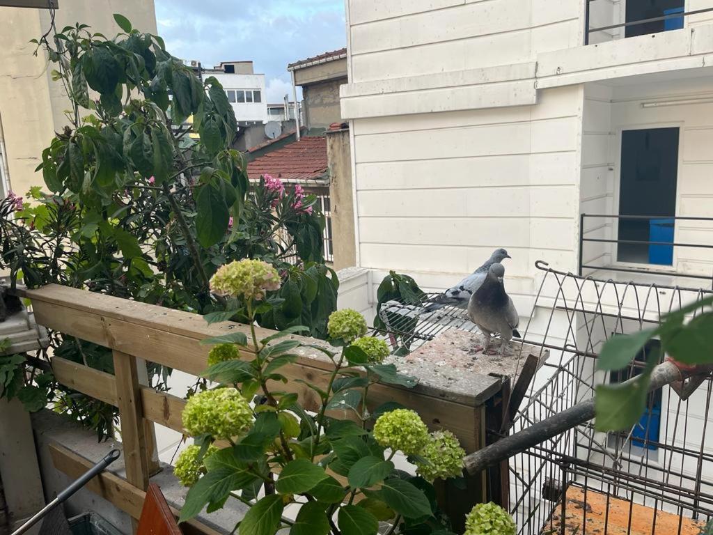 Central Apartment Kadikoy Terrace Bbq Close 2 Block Ferry Bull Metro Nighlife Isztambul Kültér fotó