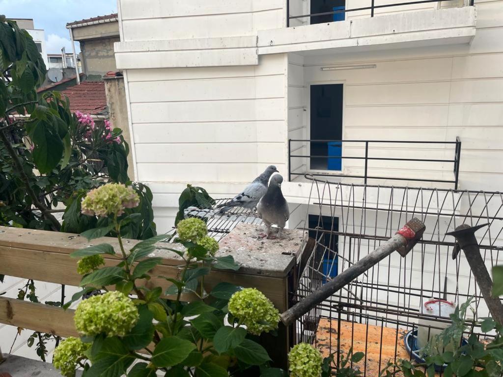 Central Apartment Kadikoy Terrace Bbq Close 2 Block Ferry Bull Metro Nighlife Isztambul Kültér fotó